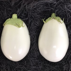 宝石野菜 白なす（桐箱2個入）_宝石野菜 白なす 桐箱 2個入 大きい 果肉 軟らかく アクが少ない 癖がない 味が絶品 女性の顔が隠れるくらい 揚げナス 煮浸し めんつゆ トロトロ 珍しい野菜 珍しい茄子 エイチアイ株式会社 お取り寄せ ギフト 久留米市 送料無料 〔Gv020〕