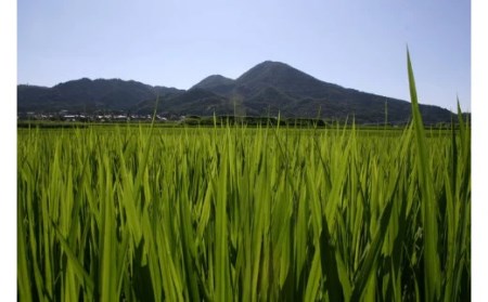 ヒノヒカリ5kg(奈良県香芝市産) [3252]