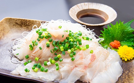【慶野松原水産】 〈あんしん・あんぜん〉養殖ヒラメ刺身