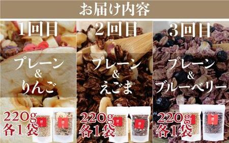 【定期便 3ヶ月】 シュガーフリー ミューズリー セット甘酒 りんご えごま ブルーベリー 3回お届け シリアル グラノーラ オートミール オーツ麦 お菓子 朝食 おやつ 砂糖不使用 小麦粉不使用 BS102