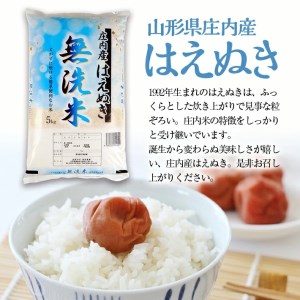 SD0247　令和7年産【無洗米】庄内産 はえぬき　10kg(5kg×2袋) SA