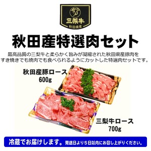 秋田産特選肉セット 8～10人前【肉の高長】[N2-1601]