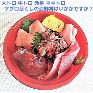 a25-026　天然 南鮪 大トロ 中トロ ネギトロ の 詰合せ約1kg