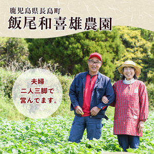 和喜雄さんといつみさんの冷凍焼き芋(約1.2kg) 焼き芋 冷凍 紅はるか 焼き芋 さつまいも 熟成 焼き芋鹿児島 スイーツ お菓子 おやつ 【飯尾和喜雄農園】iio-7087