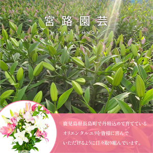 オリエンタルリリー（ユリ）旬のミックス 5本 ユリ 花 ユリの花 百合 ゆり 生花 切花 切り花 【宮路園芸】miyaji-7004