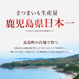 井手青果の熟成紅はるか干し芋 計400g (100g×4袋) 熟成 紅はるか 干し芋 濃厚な甘み【井手青果】ide-7083