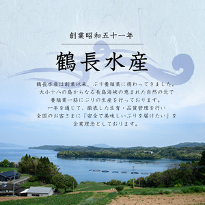 ＜期間限定＞長島海峡育ち！ボンタンぶりのフィレ【鶴長水産】turu-7311R8