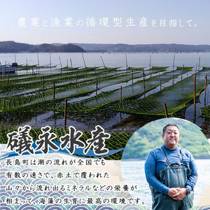 礒永水産の乾燥あおさ 400g_iso-7102