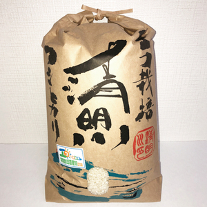令和7年産茨城県特別栽培認証 清明川コシヒカリ白米5kg×2袋　米 おこめ こしひかり  特別栽培米 農家直送 直送 茨城県 阿見町（04-02-1）