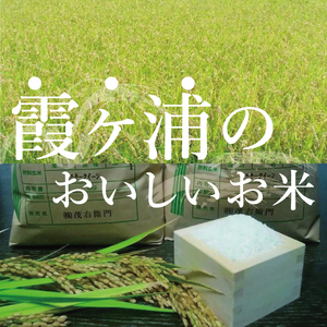 「茨城県産 茨城県産米」「霞ヶ浦のおいしいお米」令和7年産ミルキークイーン10kg【米 ごはん 霞ヶ浦 茨城県 阿見町】（13-01-2）
