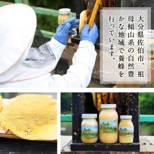 国産 はちみつ (230g) ハチミツ 蜂蜜 ロイヤルゼリー 調味料 スイーツ 多賀さん採蜜 大分県 佐伯市【AY65】【(公財)さいき農林公社】