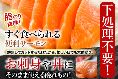 お刺身サーモン600g、スモークサーモン300g A-09053