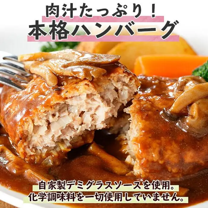 無地熨斗 こだわり 手作り 自家製 煮込み ハンバーグ 170g×4個 ＆ ひじき豆腐ハンバーグ160g×4個 食べ比べ 新潟県　 南魚沼市 計8個 約8人前