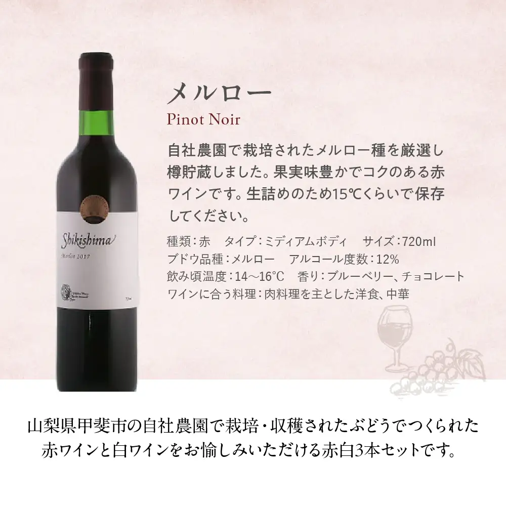 特選3本セット【メルロー & シャルドネ & 甲州シュール・リー】 720ml×3本 敷島醸造 ワイン 赤ワイン 白ワイン わいん シャルドネ ワインセット 辛口 日本ワイン 国産ワイン ギフト お祝い 飲み比べ 山梨 甲斐市 F-20