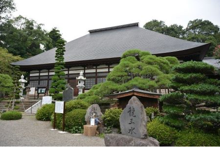 山梨県甲斐市のミネラルウォーター　「甲斐のうまい水　龍王源水」490ml×24本入