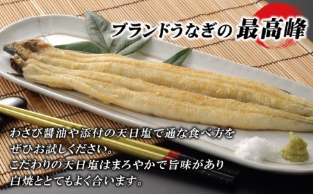 三河一色産こだわりの手焼き白焼きうなぎ(4尾冷凍)・H002-26