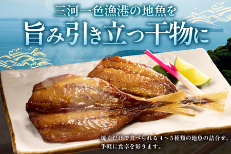 西尾の地魚　干物セット・K015-13