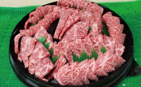 プレミアム熊野牛 焼肉 ４８０ｇ【kbs005】