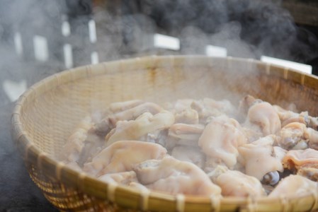 【小国のゆめ】地熱 豚足 約100g 食べきり ハーフサイズ 6本 農福連携 阿蘇 熊本 小国郷 小国産 国産 蒸し料理 炭火 わいた温泉郷 天空の豆畑 SDGs ご自宅用 贈り物 プレゼント