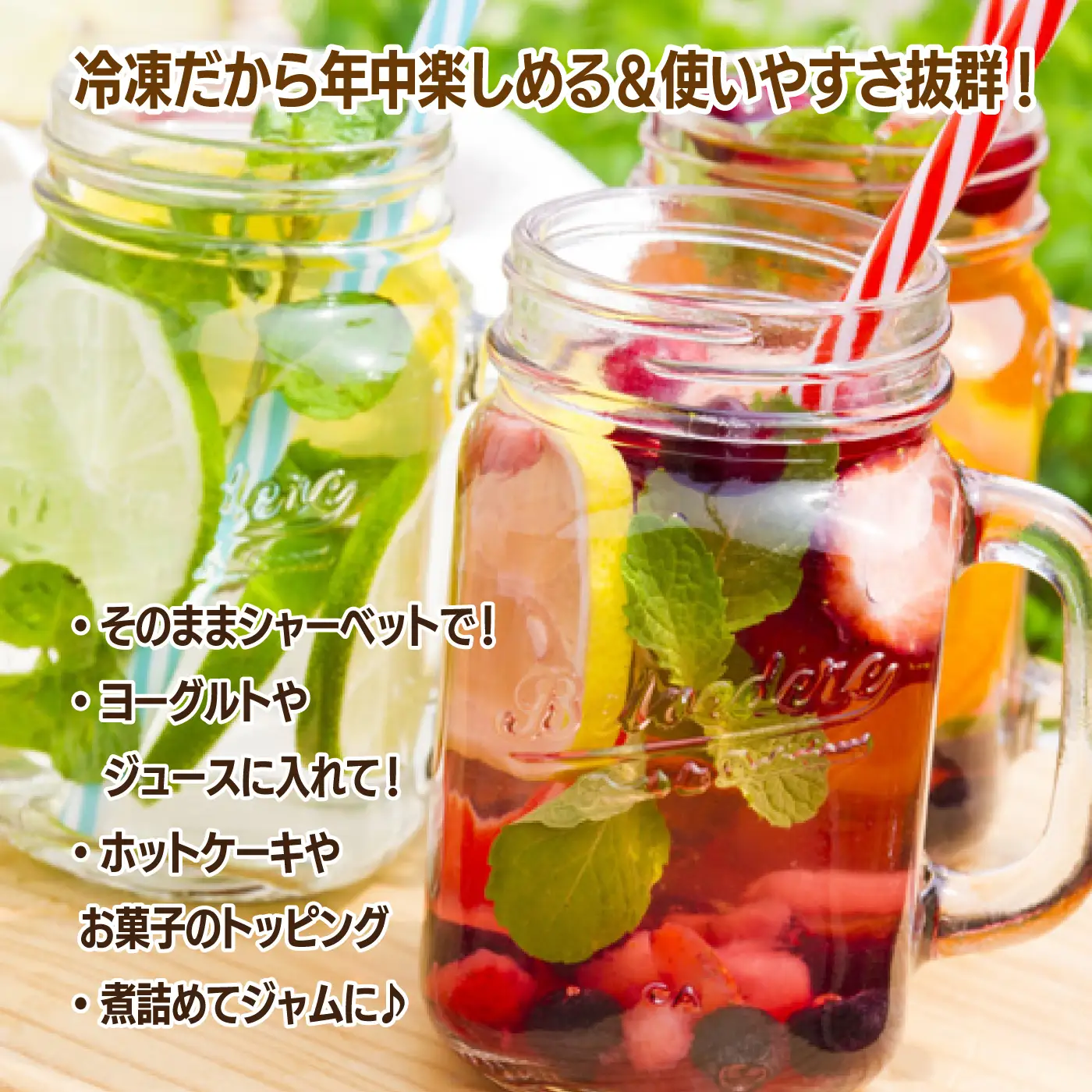 【先行予約】有機 冷凍ブルーベリー1.6kg（400g×4袋)