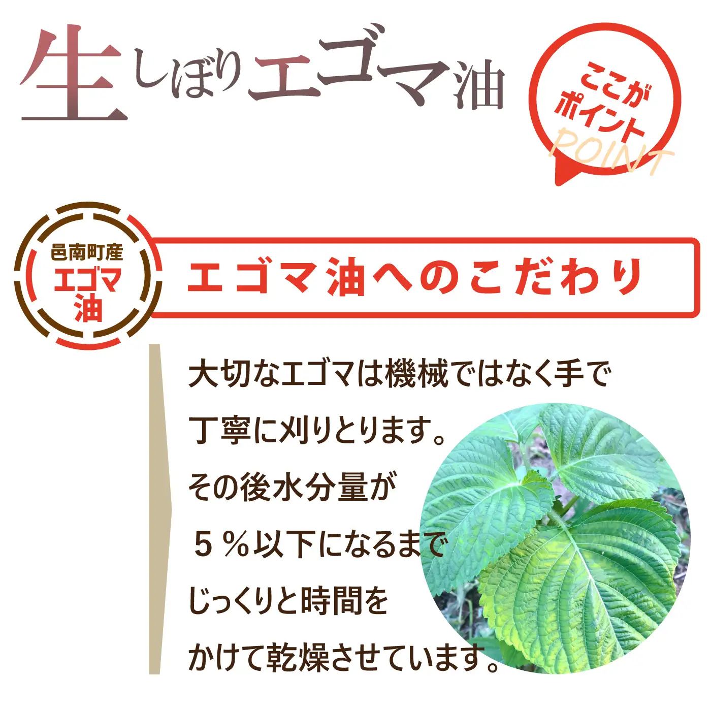 「島根県邑南町産」生しぼりエゴマ油