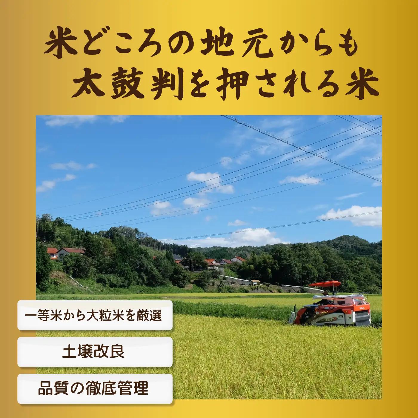 令和7年産邑南町瑞穂産コシヒカリ10kg（5kg×2）