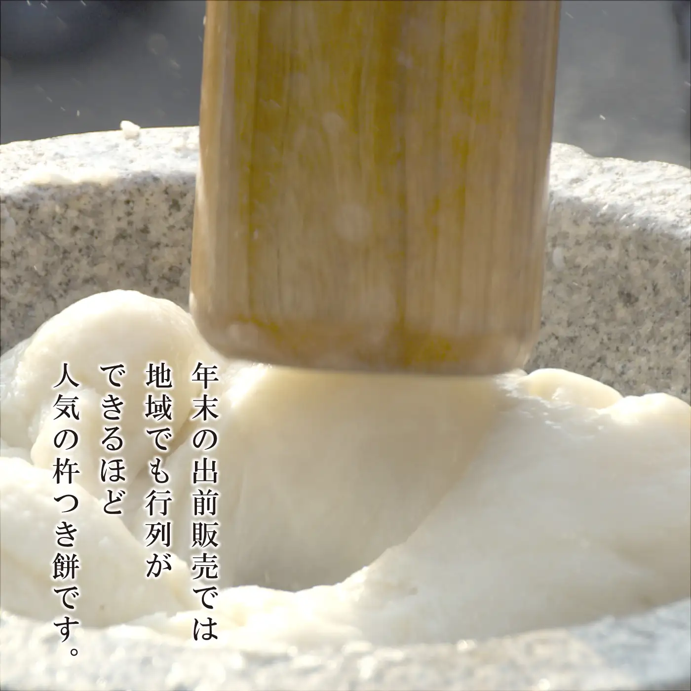 邑南町産杵つき餅　詰合せ（白、よもぎ）