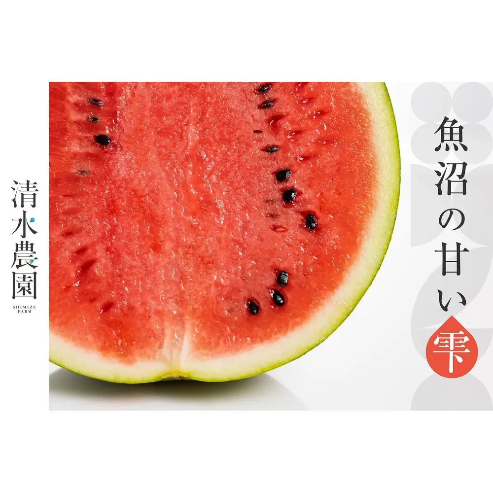 2026年7月下旬発送予定　野菜ソムリエサミット金賞受賞　清水農園の大玉スイカ（1玉）