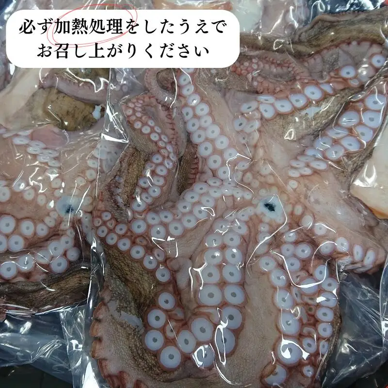 船上活締め！！生真ダコ丸ごと(1~4匹)【下処理済】 | 豊後高田市 タコ 蛸 たこ