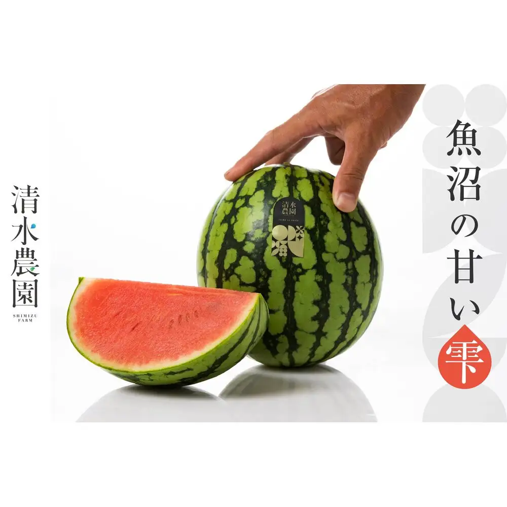 2026年7月中旬から発送予定　野菜ソムリエサミット金賞受賞　「清水農園の八色産小玉スイカ」（2玉）