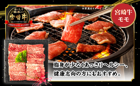 宮崎牛 モモ ウデ 焼肉 セット 各400g 合計800g 赤身 旨味 あっさり