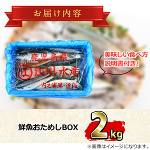 【0153201a】朝獲れ発送！鮮魚問屋が厳選した『鮮魚おためしBOX』(約2kg程度)魚 魚介類 鮮魚 海鮮 詰め合わせ セット 刺身 天ぷら 煮つけ 塩焼き【江川商店】