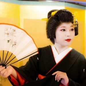 九ぷりん（3種類×2個）