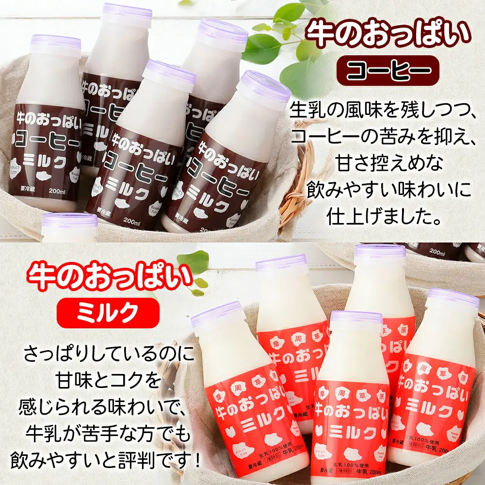783.牛のおっぱいミルク 3本 コーヒーミルク3本 のむヨーグルト3本 計9本 おっぱいミルクキャンディー1個 セット 牛乳 生乳 ミルク 牛 酪農 飲料 しぼりたて 珈琲 ヨーグルト 飴 お取り寄せ ギフト gift 渡辺体験牧場 まとめ買い 北海道 弟子屈町