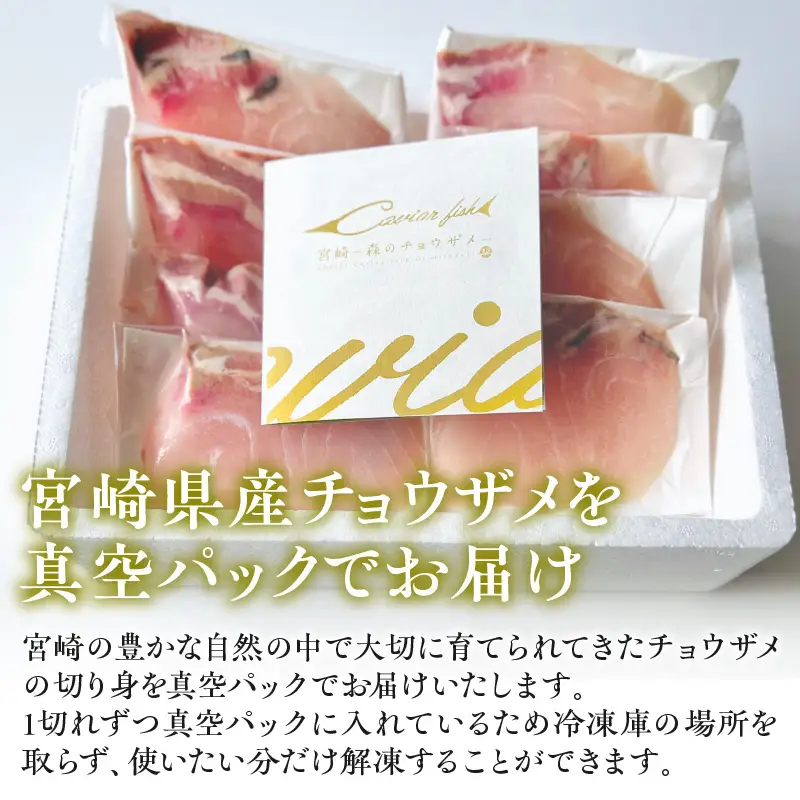 宮崎県産チョウザメの切り身70g×8パックセット 国産 宮崎県産 チョウザメ 切り身 切身 70g 8パック 高タンパク質 タンパク質 魚 冷凍 小分け パック 真空パック 唐揚げ ガーリックソテー