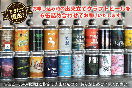 【できたて直送！】 BTB クラフトビール 6缶 セット [BLACK TIDE BREWING 宮城県 気仙沼市 20565980]