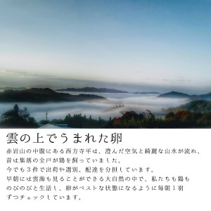 赤岩高原たまご 80～90個入 破損保証10個を含む 卵 赤たまご