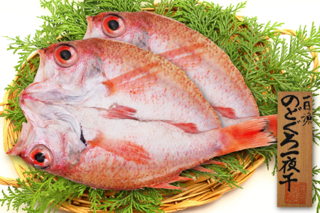 大ぶり干物！のどぐろ一夜干し 2枚【のどぐろ特大 合計400g のどぐろ干物 無添加 天日塩 魚介類 魚 高級魚 ノドグロ アカムツ あかむつ 特大 干物 新鮮 冷凍 真空パック 贈答 ギフト 父の日 母の日】