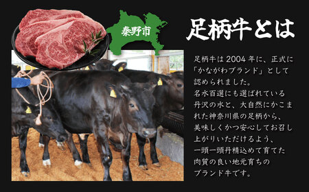 足柄 牛肉 秦野市産足柄牛ロースステーキ 2枚(700g)　 / 国産 足柄牛 神奈川 牛肉 ロース ステーキ かながわブランド 和牛 700ｇ 350ｇ×２枚 国産 冷凍 贅沢 贈り物 お歳暮 お正月 クリスマス 　030-05