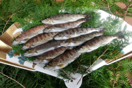 AU3　宍粟サーモンとあまごの詰め合わせセット 【 淡水 サーモン 鮭 アマゴ 魚 西京焼き 甘露煮 贈り物 プレゼント 】