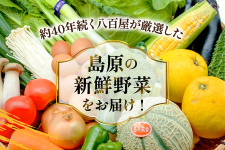 BF058 【6回定期便】旬の野菜・フルーツ (12～14品目)・卵 (6個) おまかせ セット[ 長崎県 島原市 ]