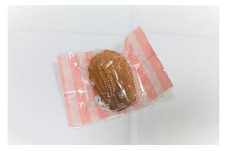 マドレーヌ　１０個セット（プレーン・伊勢茶）／ソレイユ　お取り寄せ　洋菓子　三重県　度会町　伊勢志摩