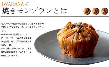 IWAHANA 焼き モンブラン 12個入り【配達不可：離島】 栗 洋菓子 焼き菓子 岡山県 里庄町 送料無料 お菓子 スイーツ 焼菓子 チョコレート 