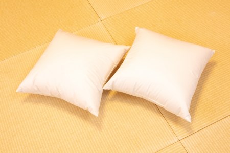 白州洗いの羽毛クッション　2個セット 羽毛クッション 2個セット 45×45ｃｍ ダウン50％ 600g 日本製 ホテル仕様 クッション 羽毛 白州洗いの羽毛クッション 新生活 [h126]