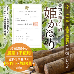「姫かほり」 ごぼう茶 ティーバッグ & 焙煎ごぼう茶 粉末タイプ_K04103