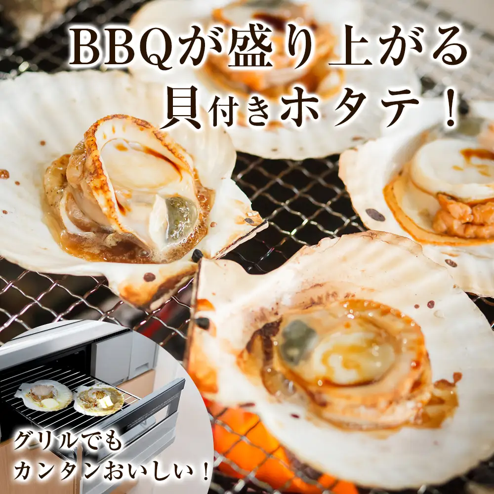 北海道産 冷凍ホタテ片貝 15枚セット
