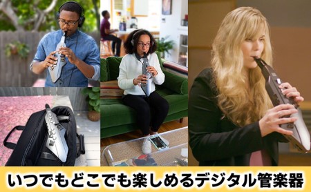 電気 管楽器 ウインドシンセサイザー Aerophone GO Roland 電気管楽器