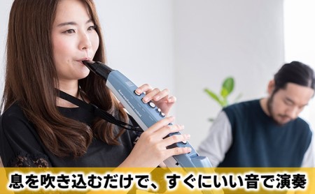 【Roland】ウインドシンセサイザー/エアロフォンミニ【配送不可：離島】 楽器 管楽器 