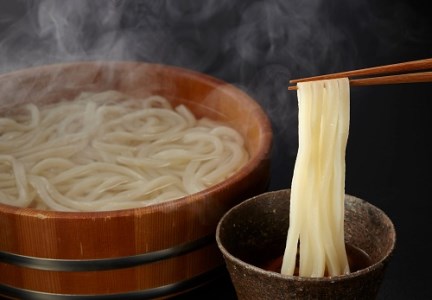 純生！これぞ真髄！本場さぬきうどんめん一の打ちたてうどんセット(8人前)【L-5】