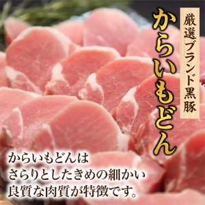 【厳選ブランド黒豚】”黒豚からいもどん”ヒレ 500g（国産 豚肉 小分け 黒豚 ヒレ ステーキ とんかつ ヒレカツ 希少部位 宮崎 小林市 人気 冷凍 ヒレ 牛ヒレ肉 ヒレ 牛ヒレ肉 ヒレ )